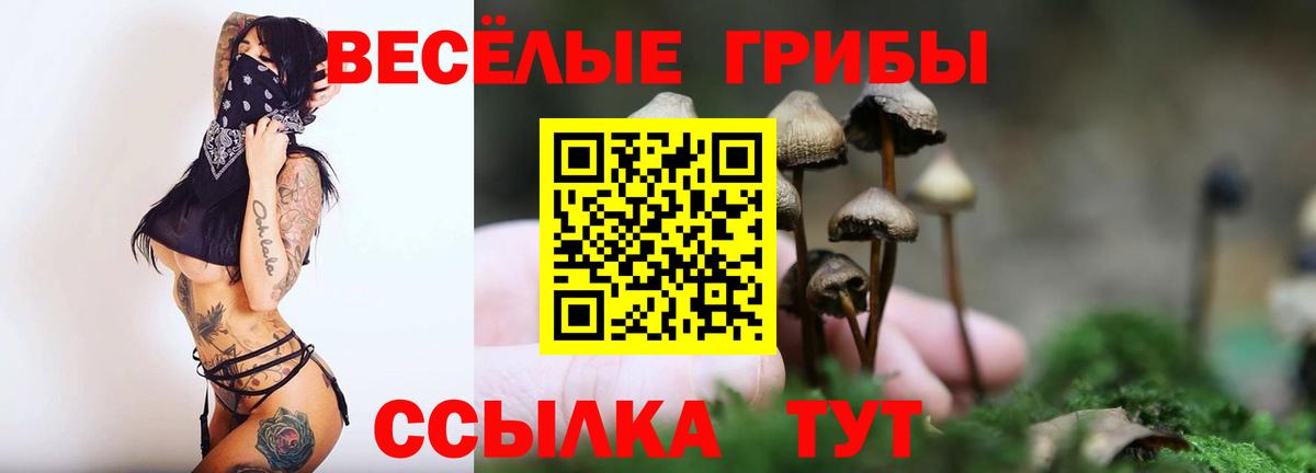 Галлюциногенные грибы ЛСД  Псилоцибиновые грибы MAGIC MUSHROOMS  Вход с VPN  Тимашёвск 